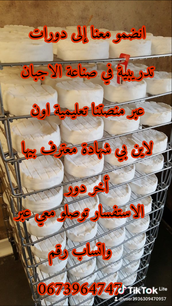 تعليم دورة الاجبان